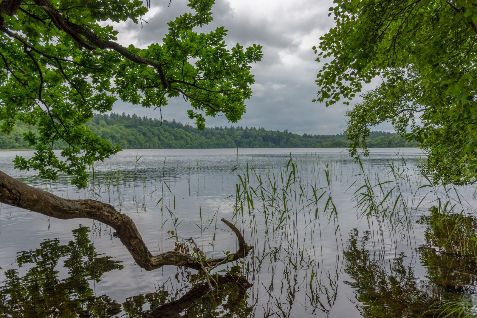 Nikon D7200 sample photo. More, landscape, air photography