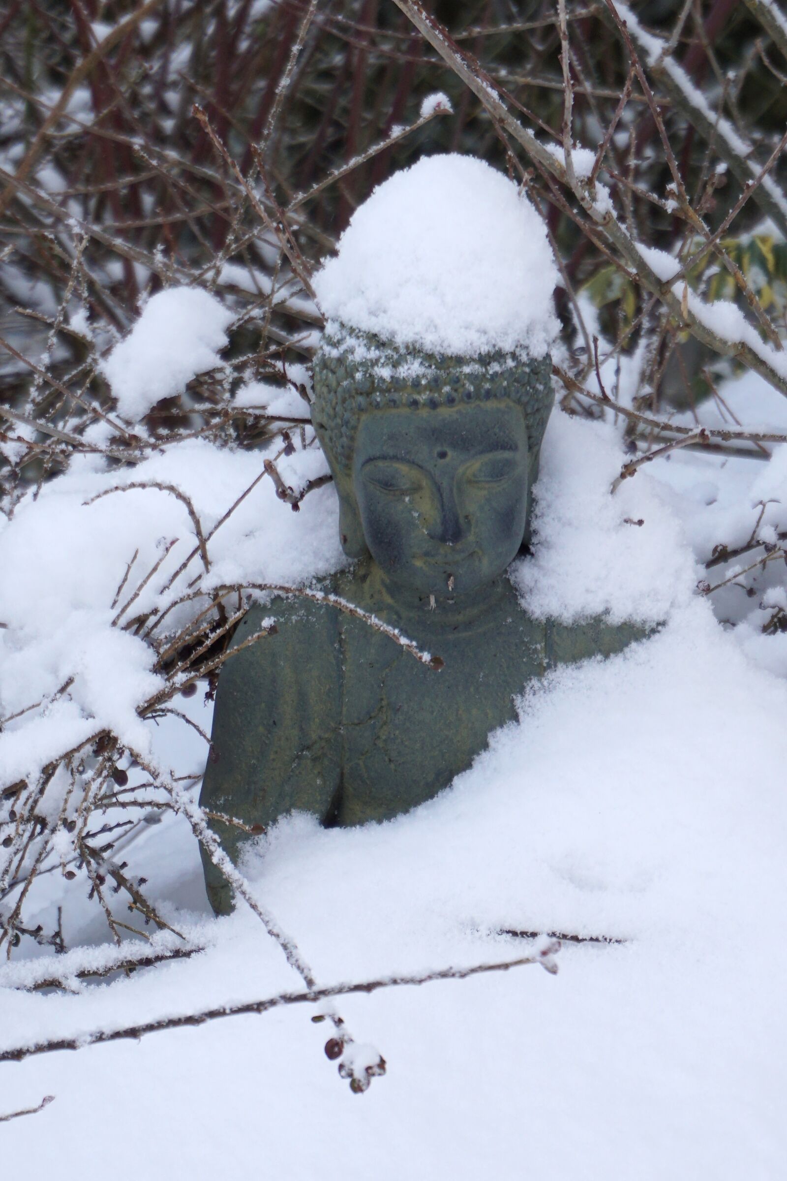Sony a5100 sample photo. Buddha, snow, winter photography