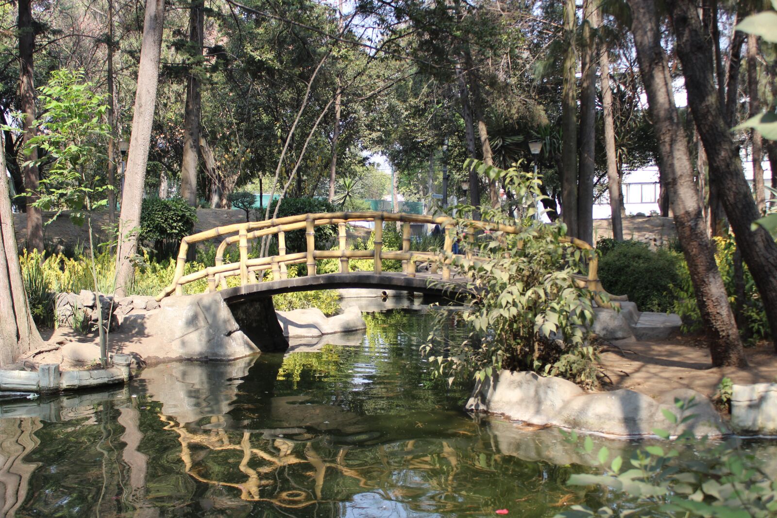 Canon EOS 1300D (EOS Rebel T6 / EOS Kiss X80) sample photo. Bridge, reflection, park photography