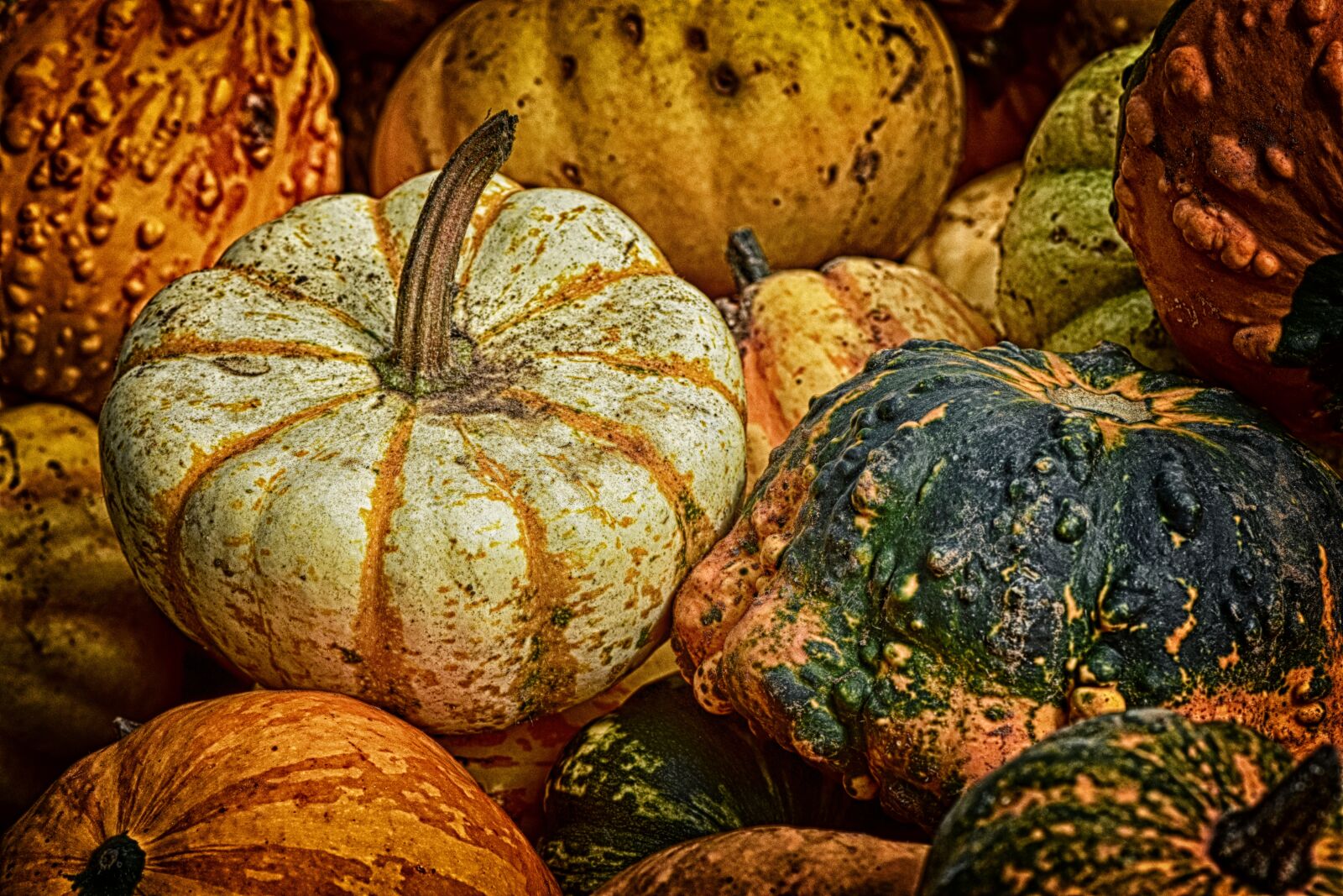 Nikon D7200 sample photo. Pumpkins, colorful, autumn photography