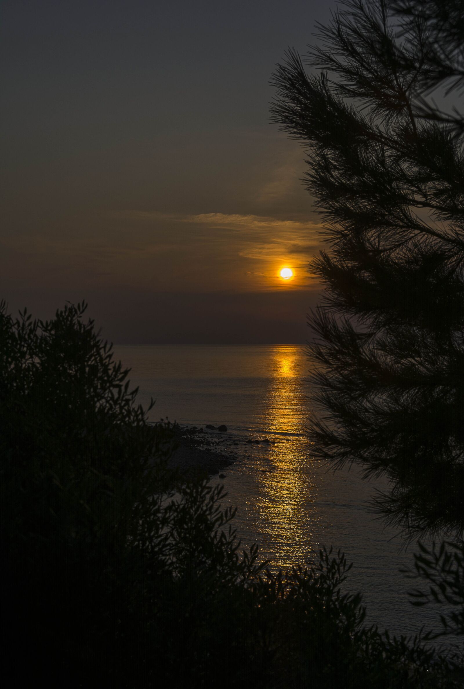 Nikon D7100 sample photo. Sun, dawn, landscape photography