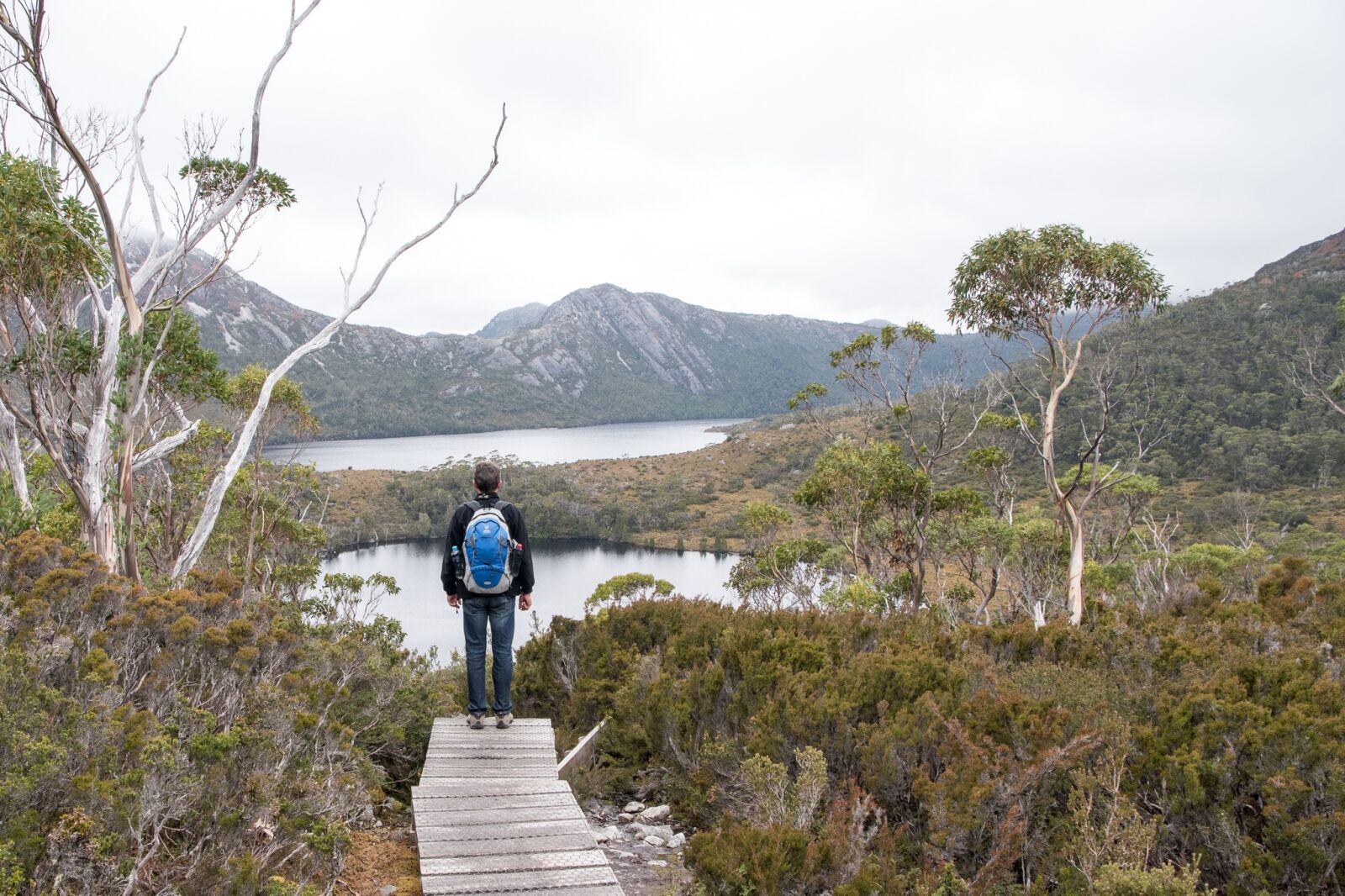 Nikon D750 sample photo. Lake lilla, dove lake photography