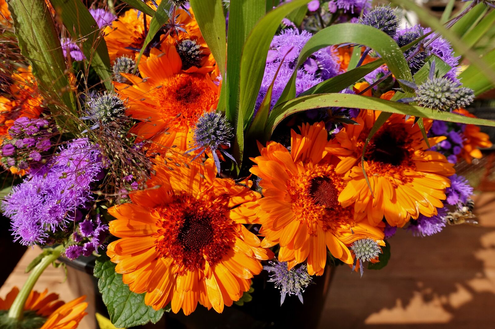 Sony DSC-RX100M5 sample photo. Dahlia, summer flowers, colorful photography