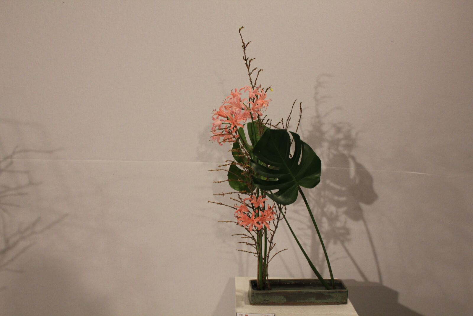Canon EOS 550D (EOS Rebel T2i / EOS Kiss X4) sample photo. Ikebana, fleur, bouquet photography