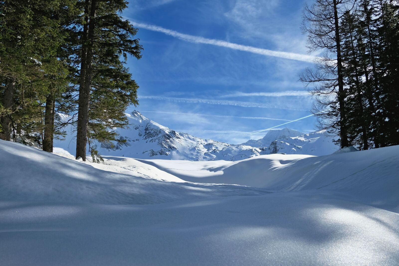 Fujifilm XC 15-45mm F3.5-5.6 OIS PZ sample photo. Nature, landscape, wintry photography