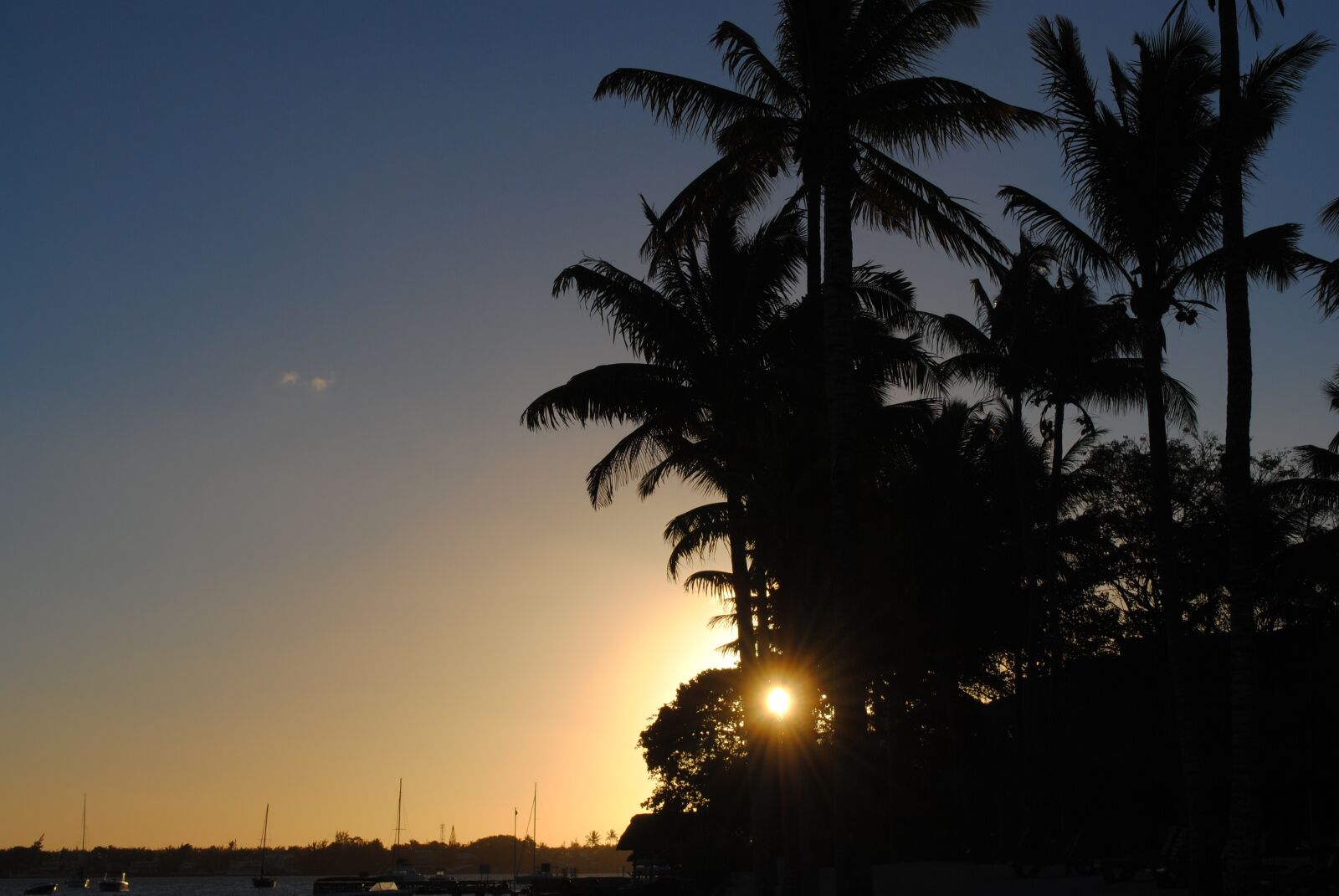 Nikon D3000 sample photo. Sunset, vacations, palm trees photography