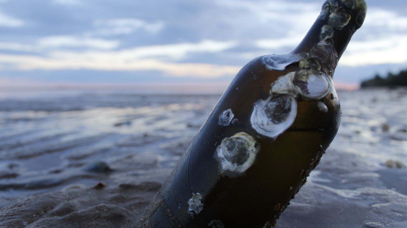 Canon EOS 4000D (EOS Rebel T100 / EOS 3000D) sample photo. Bottle, beach, sea photography
