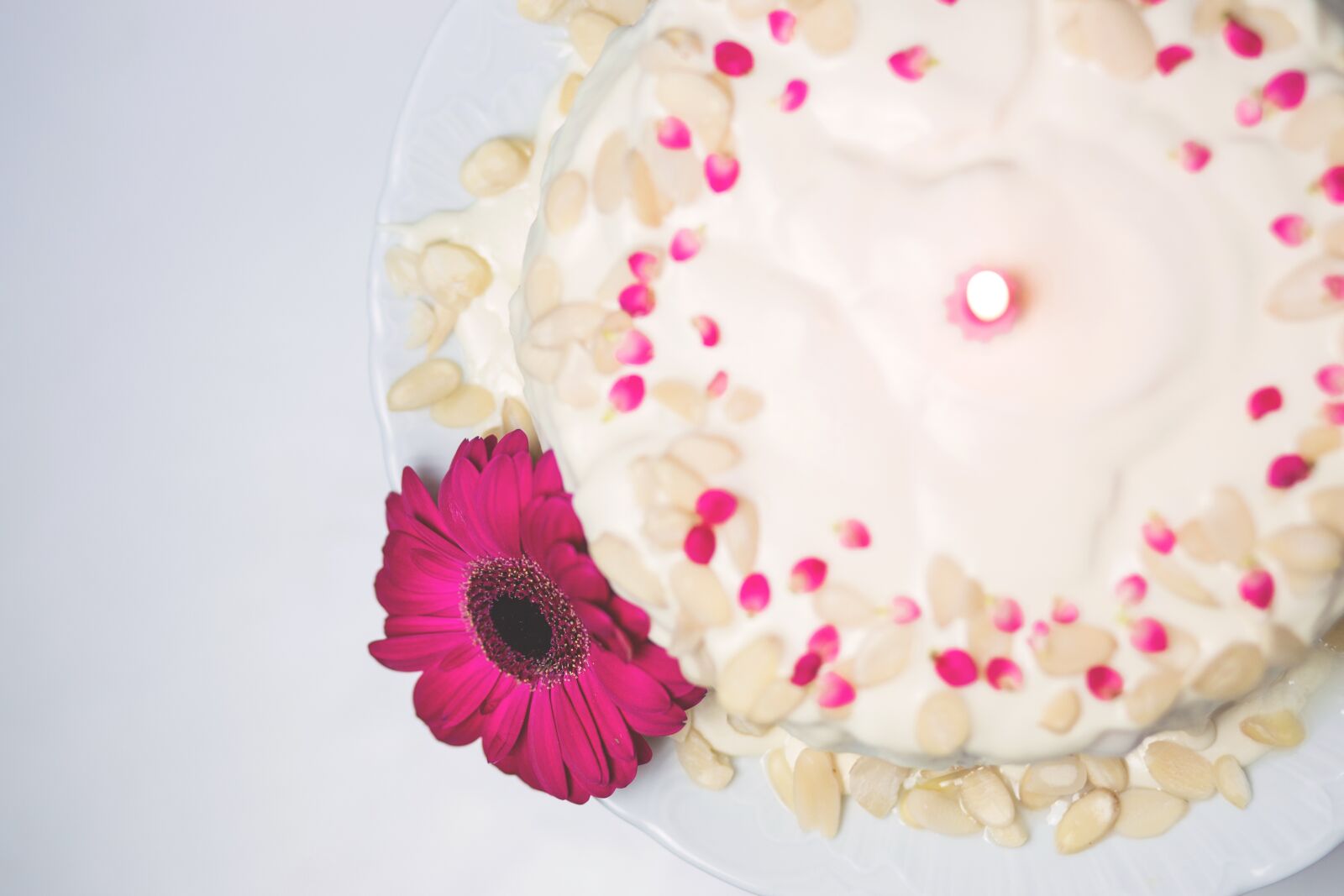 Canon EF 85mm F1.8 USM sample photo. Food, drinks, birthday photography