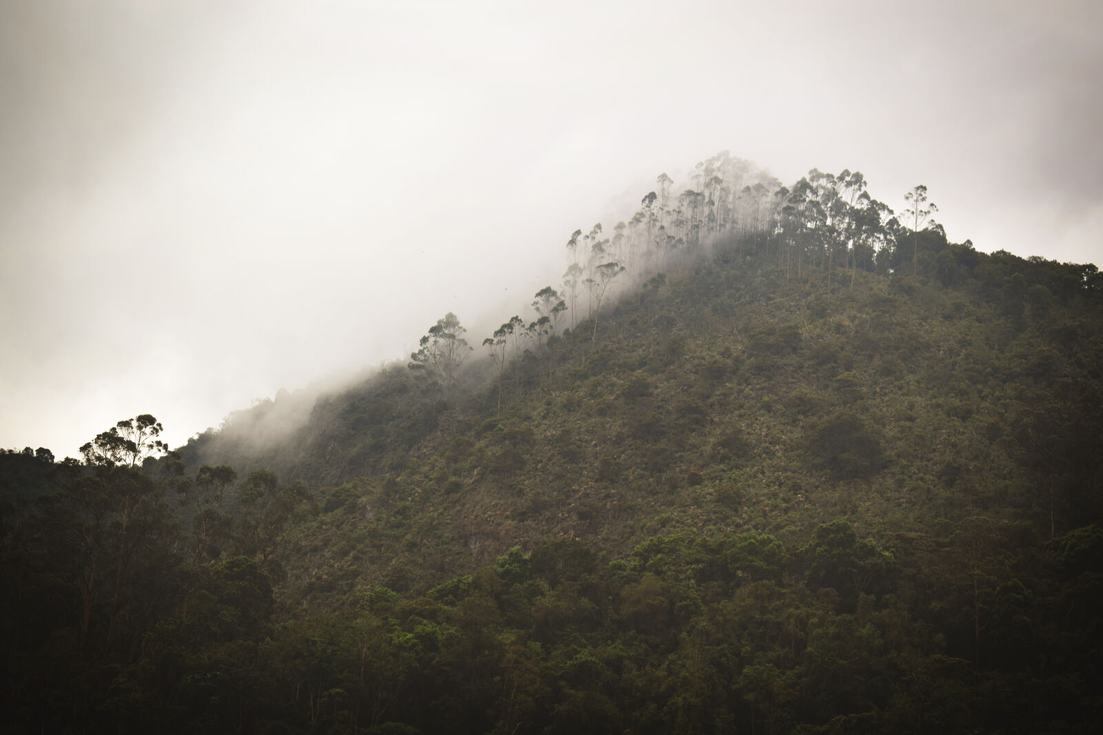 Nikon D3300 sample photo. Mist, mountain, tequendama photography