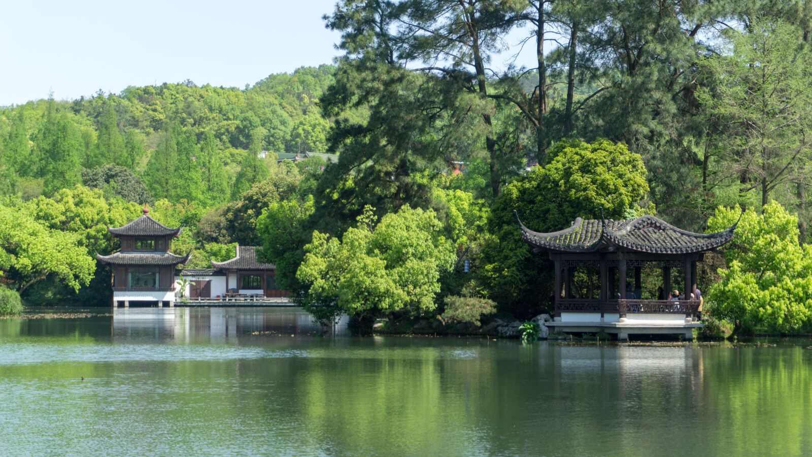 Sony a5100 sample photo. Nature, waters, wood photography