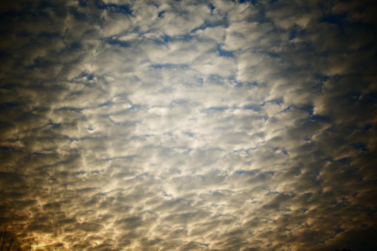 Panasonic Lumix DMC-G85 (Lumix DMC-G80) sample photo. Air, clouds, cloud photography