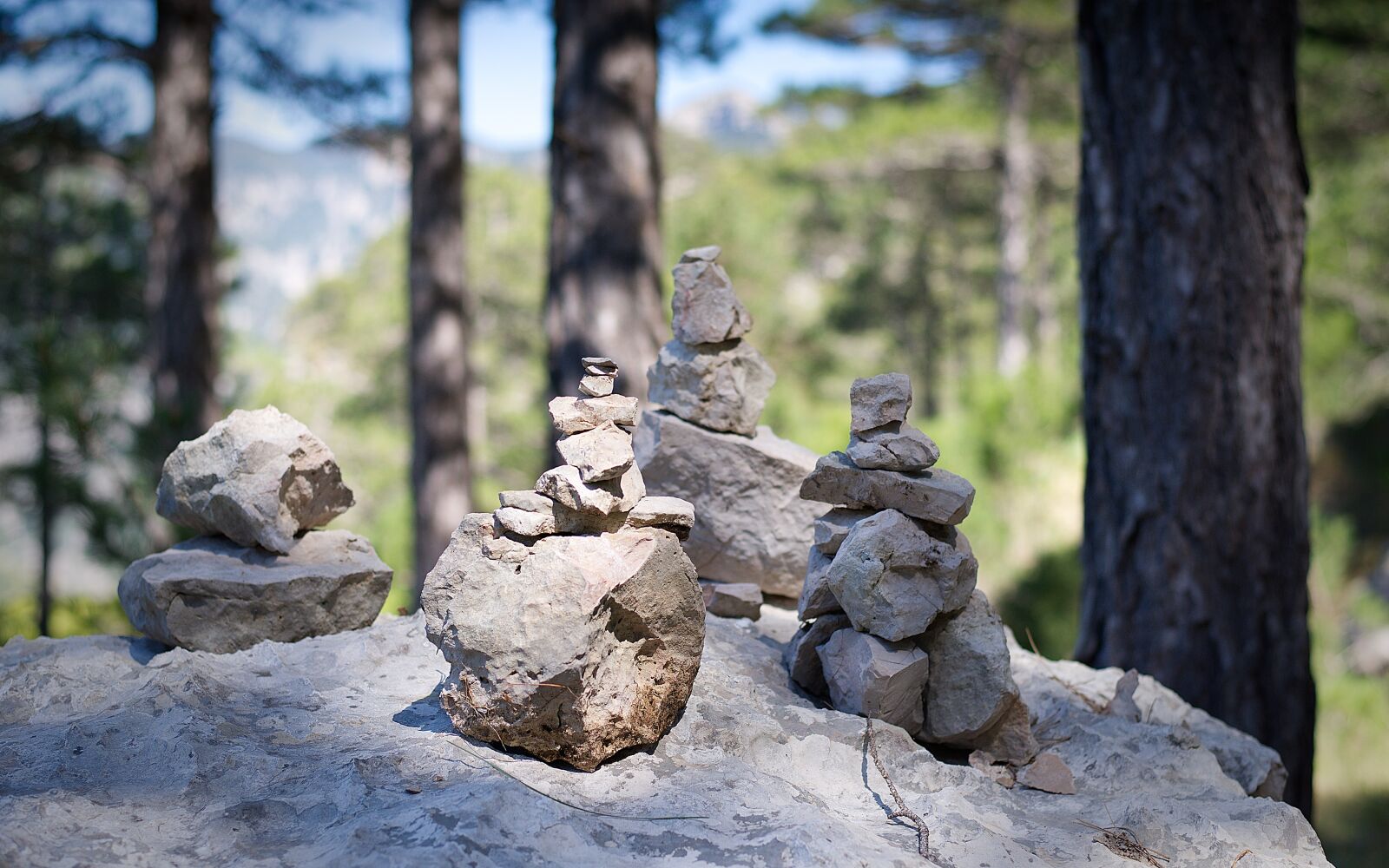 Nikon D800 sample photo. Spain, la fou, els photography