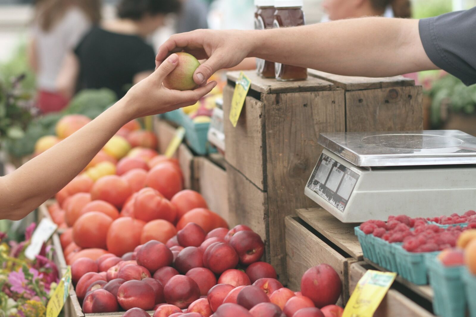 Canon EOS 7D sample photo. Apples, farmers market, business photography
