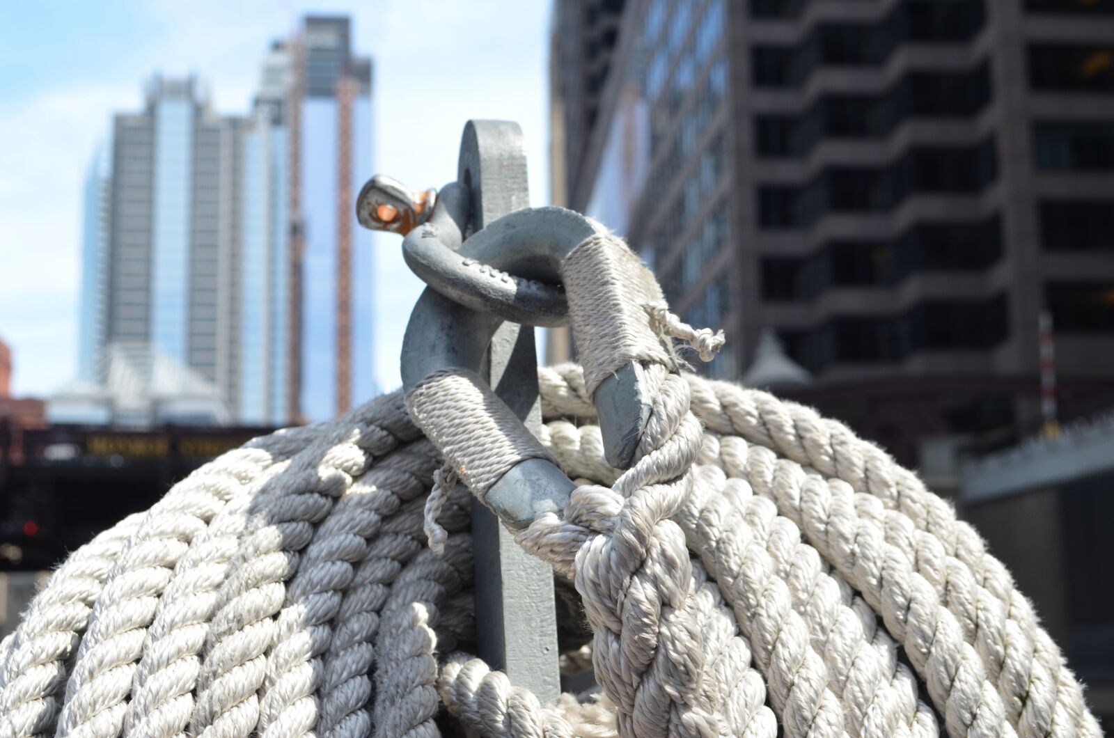 Nikon D5100 sample photo. Dew, rope, knot photography