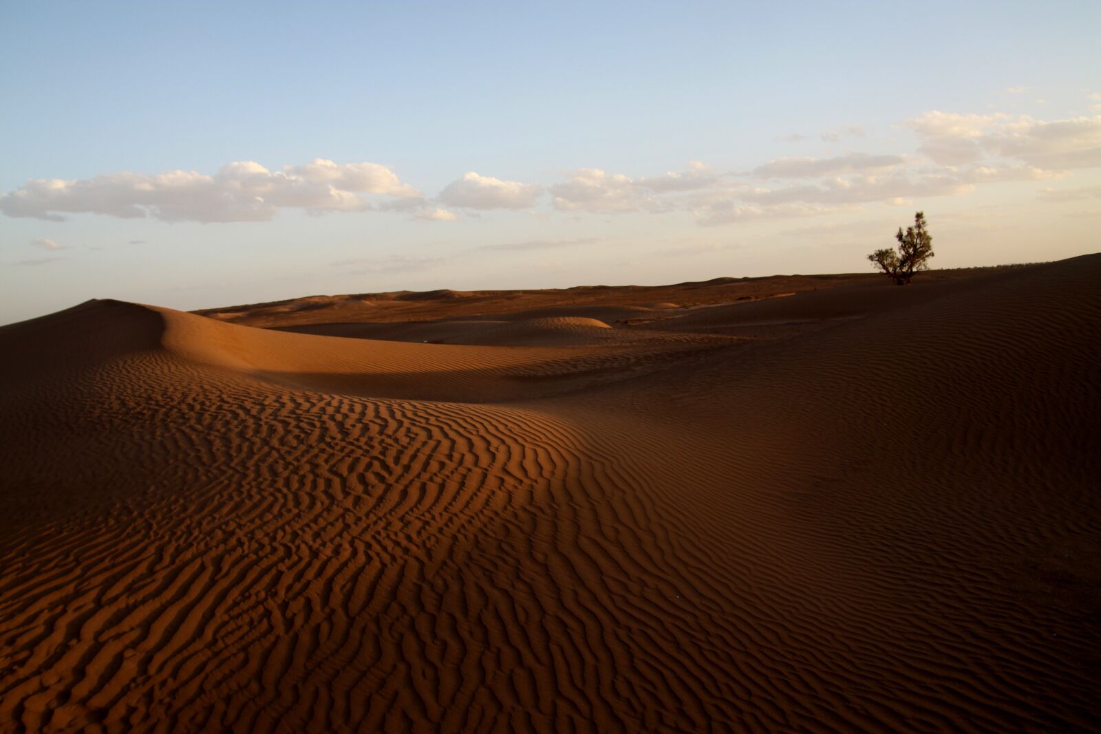 Canon EOS 50D sample photo. Desert, morocco, africa photography