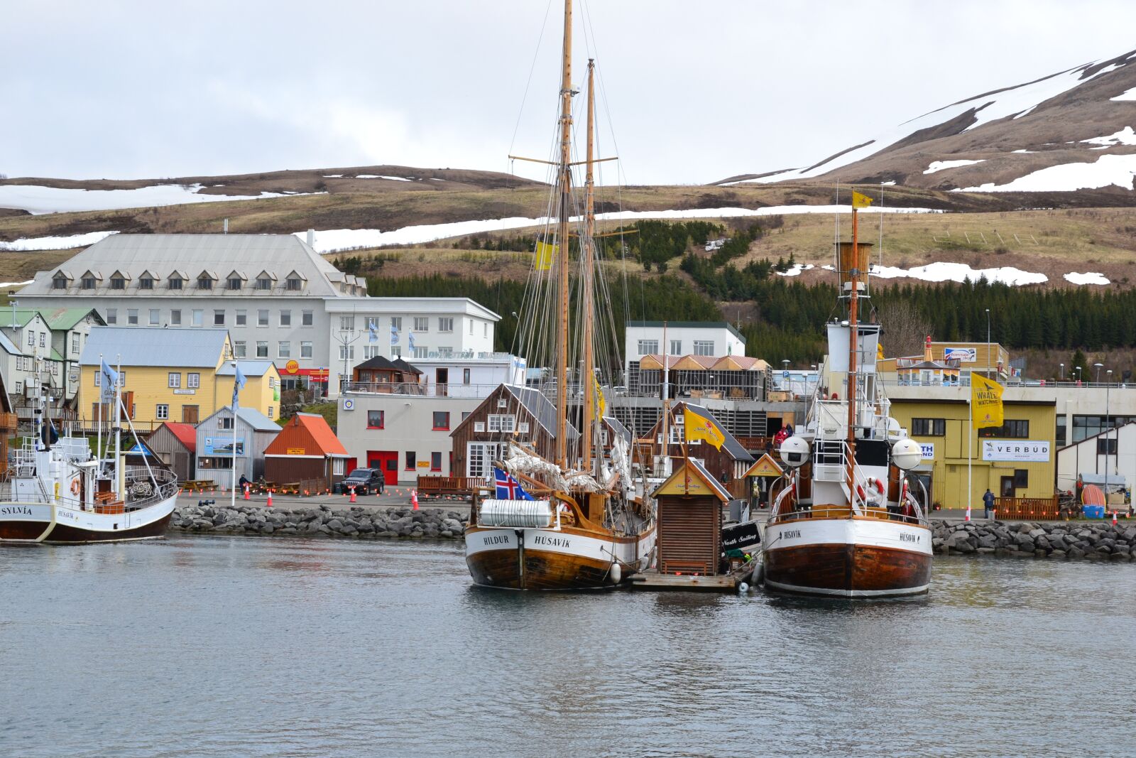 Nikon D3100 sample photo. Iceland, marina, ships photography