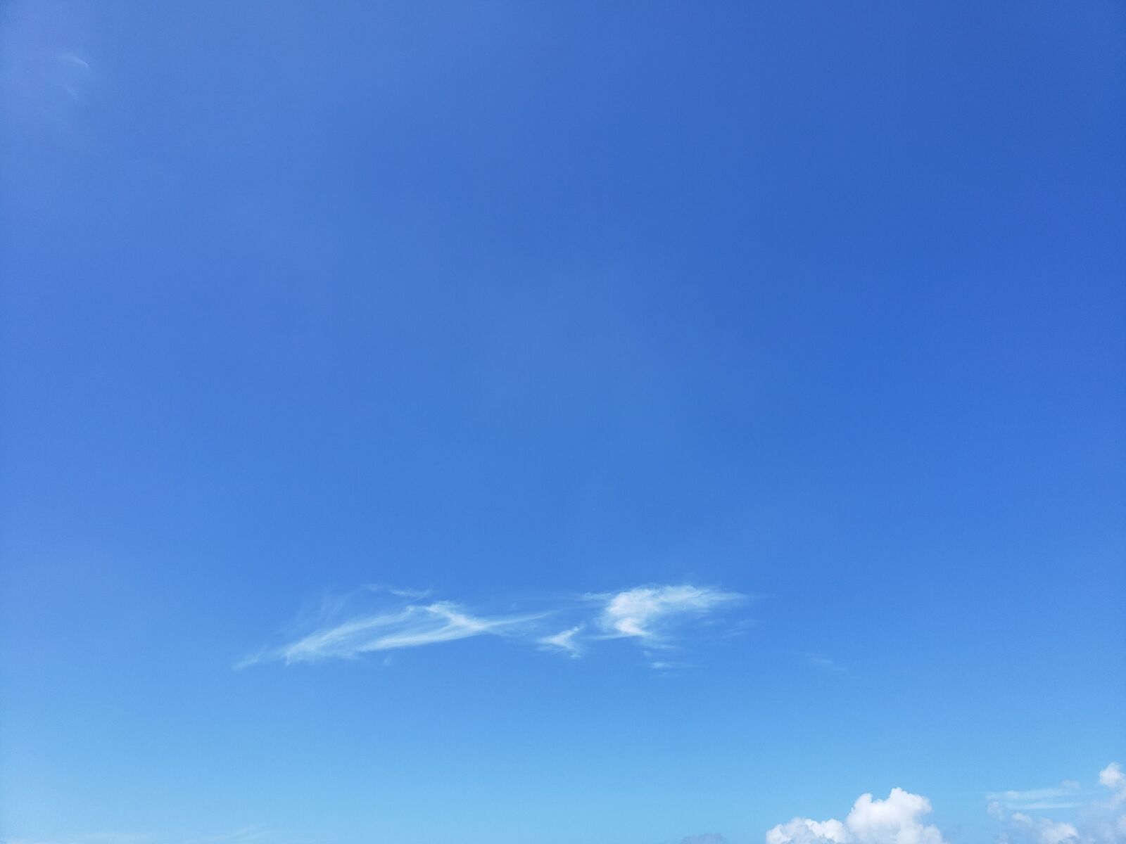 Samsung Galaxy Note9 sample photo. Blue sky, sunny day photography