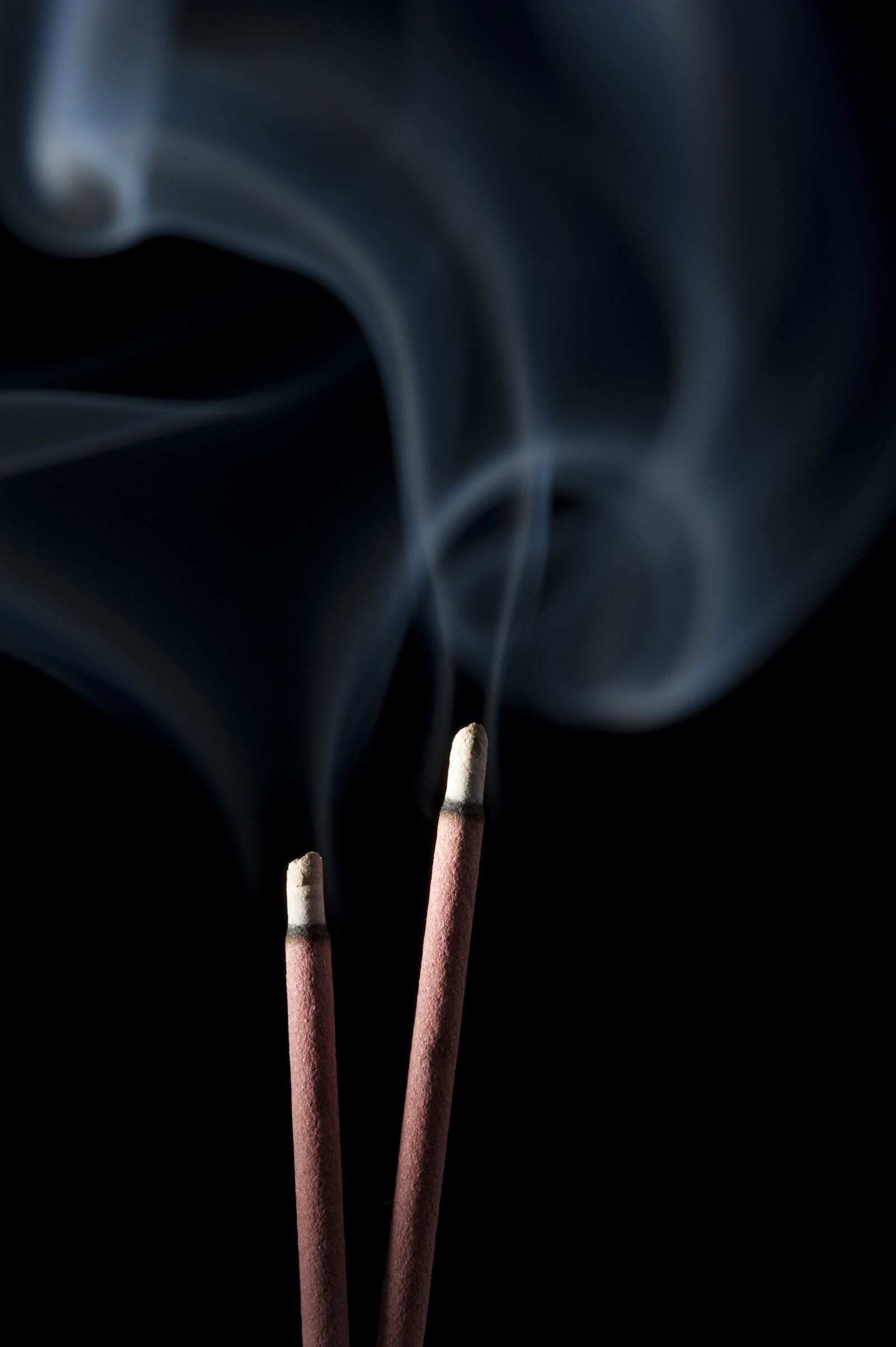 Nikon D700 sample photo. Smoke, holly, black background photography