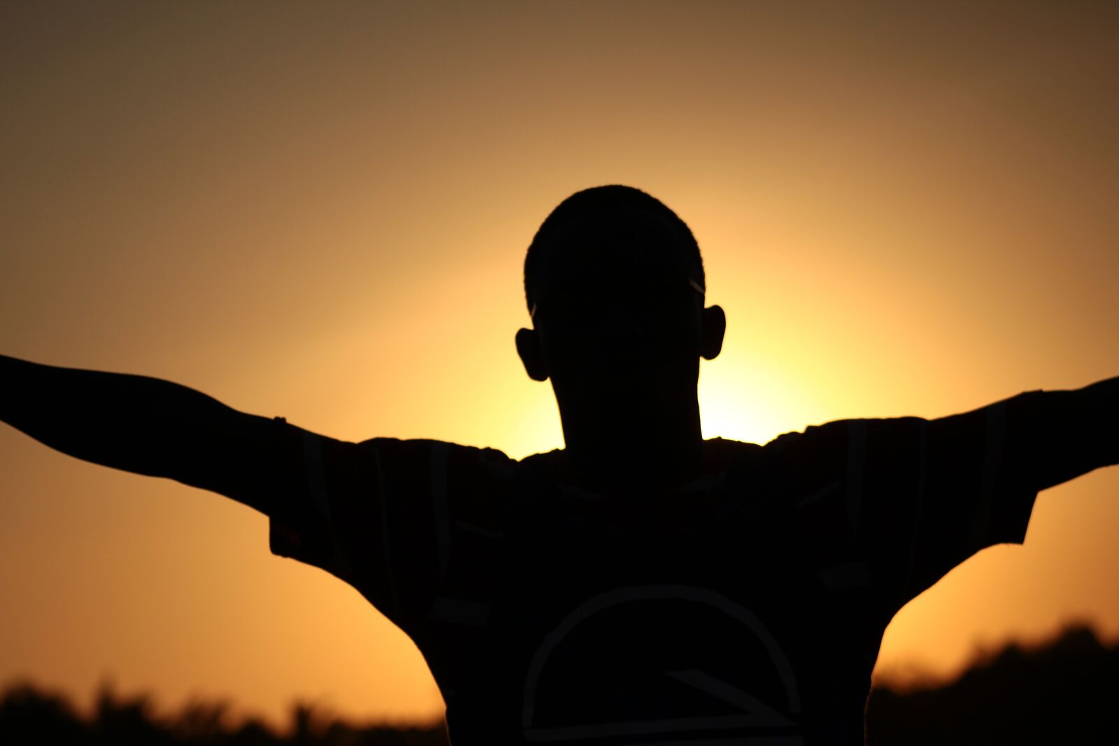 Canon EOS 550D (EOS Rebel T2i / EOS Kiss X4) sample photo. Sunset, silhouette, mood photography