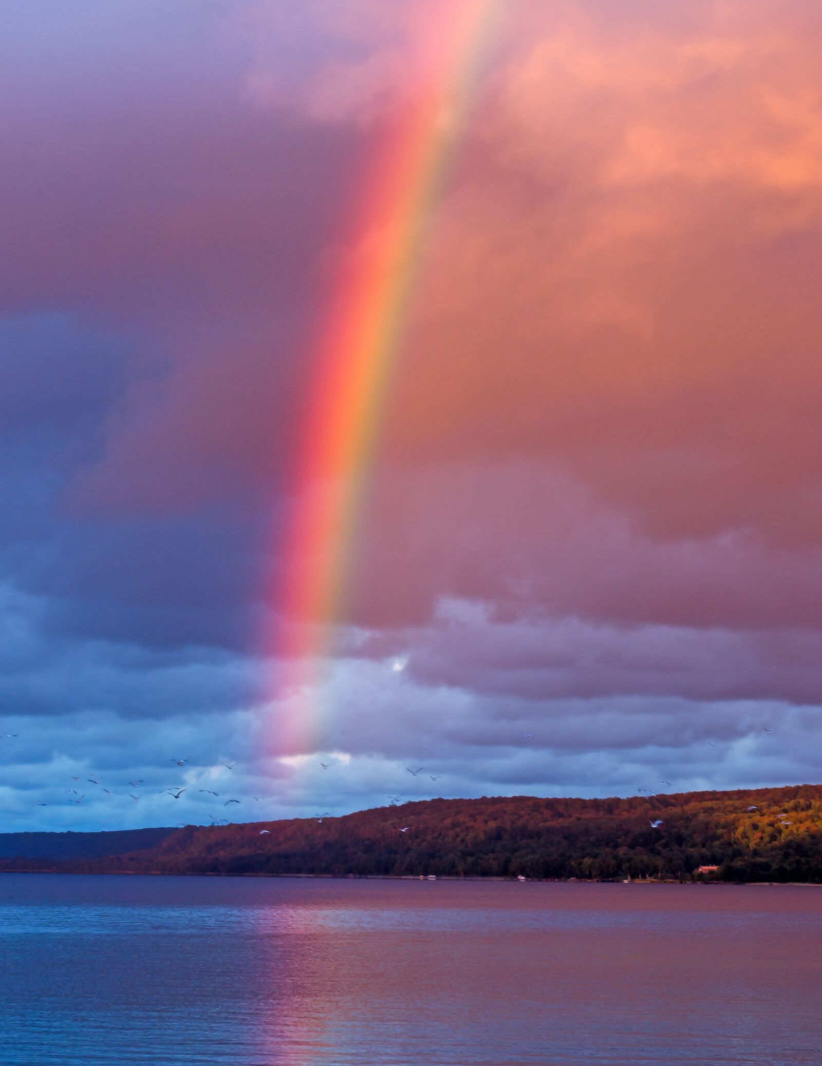 Nikon D7000 sample photo. Rainbow, rain, effect photography