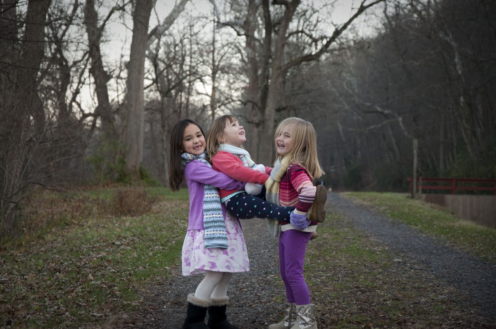 Nikon D90 sample photo. Sisters, holding, path photography