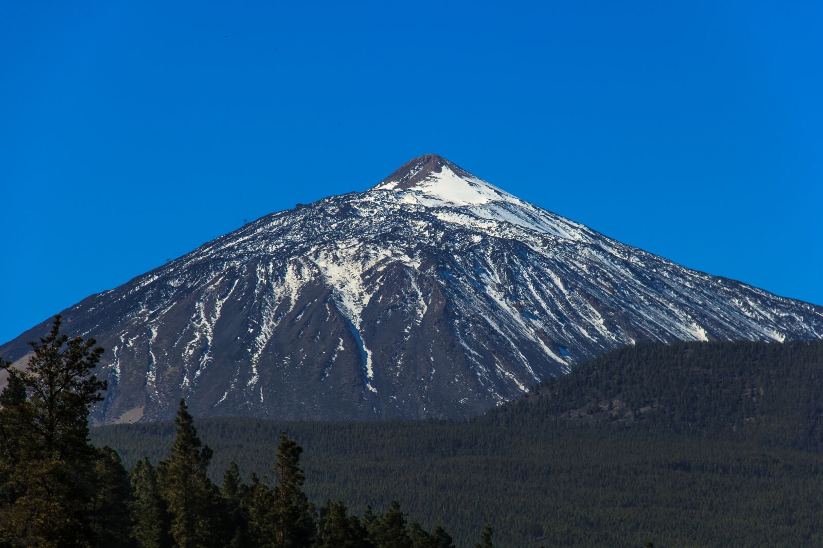 Canon EOS 550D (EOS Rebel T2i / EOS Kiss X4) sample photo. Teide, las canadas, canadas photography