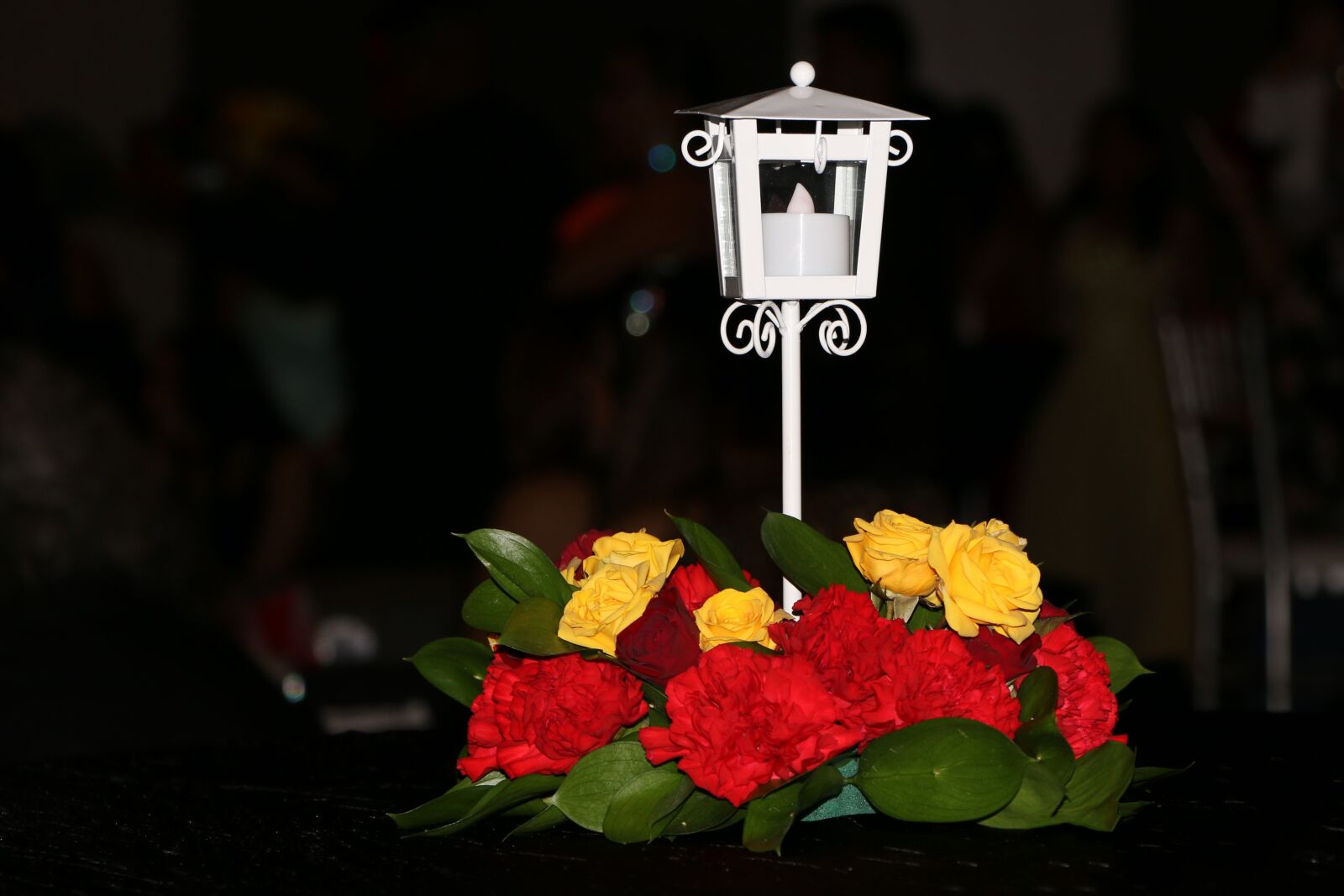Canon EF-S 18-135mm F3.5-5.6 IS STM sample photo. Fifteen years, lantern, roses photography
