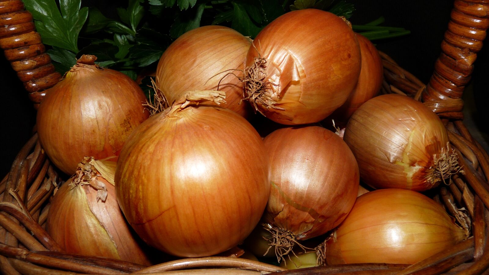 Panasonic Lumix DMC-FZ28 sample photo. Onions, vegetables, food photography