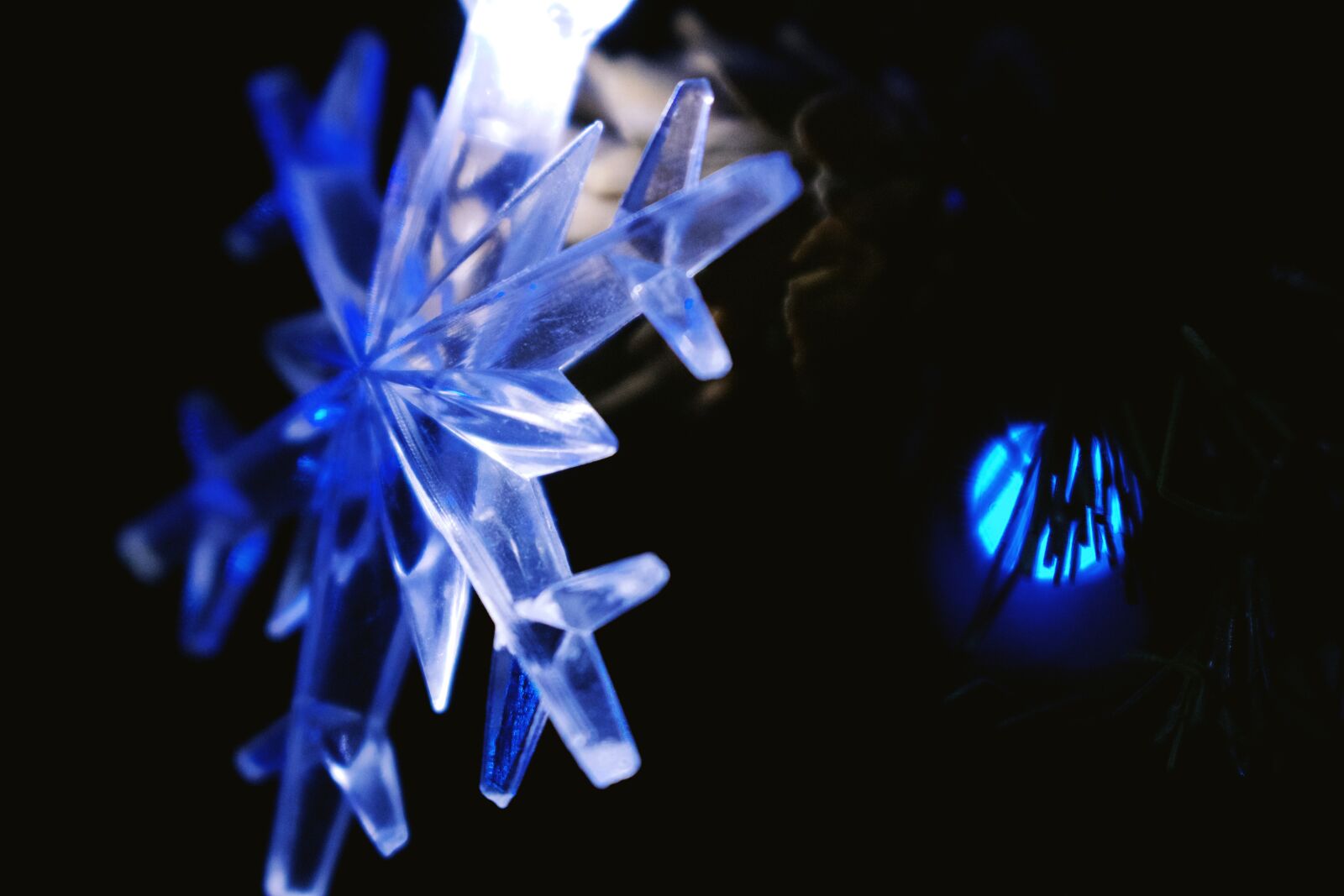 Canon EOS 750D (EOS Rebel T6i / EOS Kiss X8i) sample photo. Christmas, winter, merry christmas photography