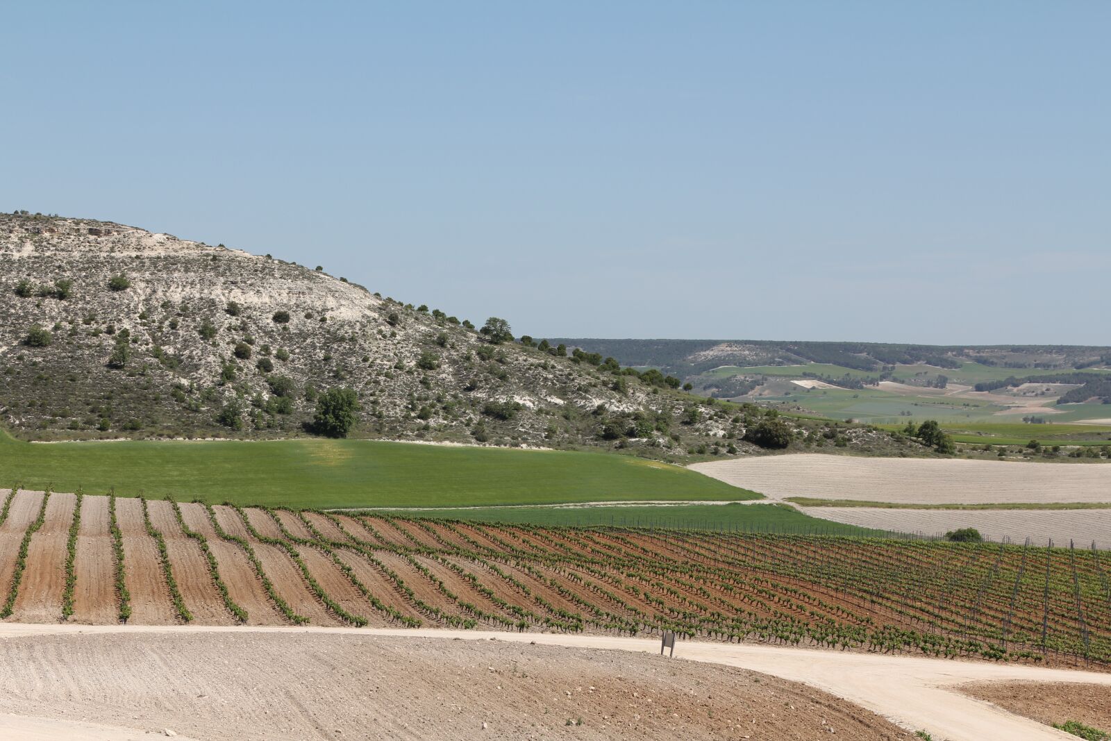 Canon EOS 60D sample photo. Spain, vineyard, wine region photography