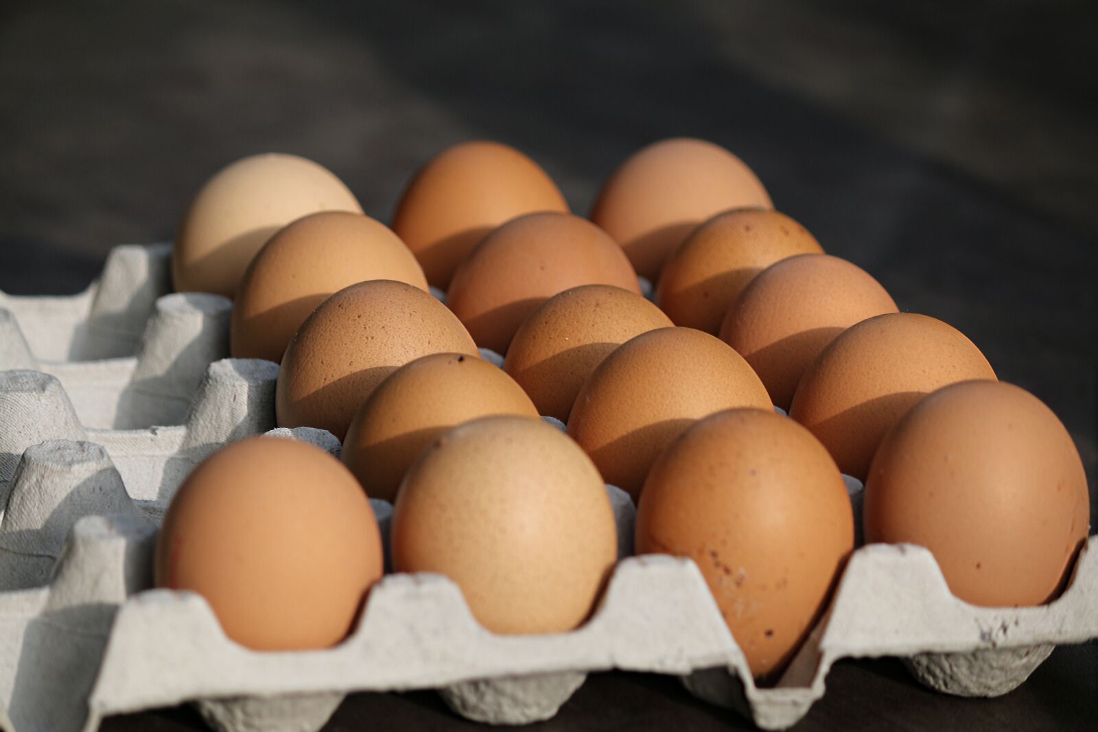 Canon EOS 70D sample photo. Eggs, easter, chicken photography