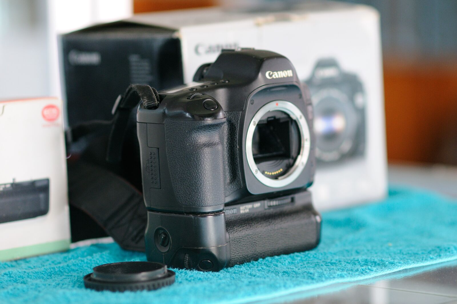 Nikon D300 sample photo. Camera, lens, digital photography