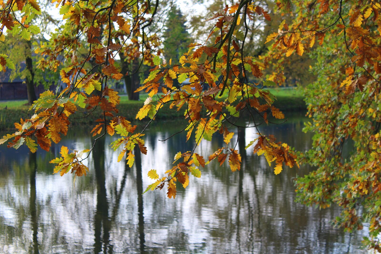 Canon EOS 1200D (EOS Rebel T5 / EOS Kiss X70 / EOS Hi) sample photo. Autumn leaves, water, colorful photography