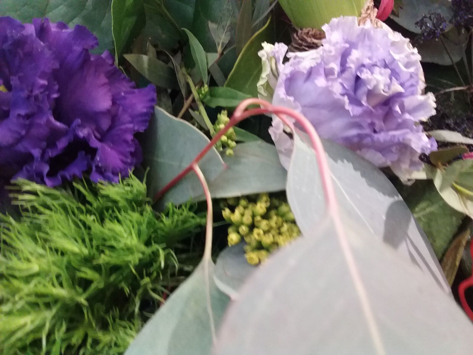 Samsung Galaxy J3(2016) sample photo