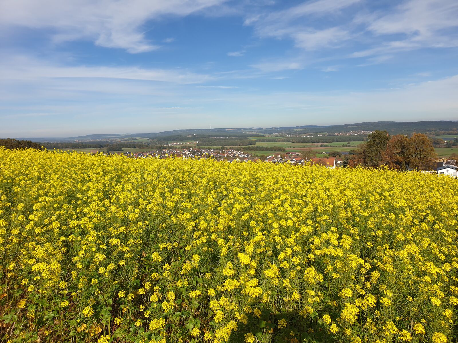 Samsung Galaxy S9+ sample photo. Field, sun, nature photography