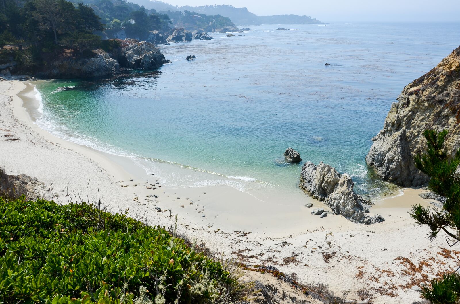 Nikon D5100 sample photo. Point lobos, usa, america photography