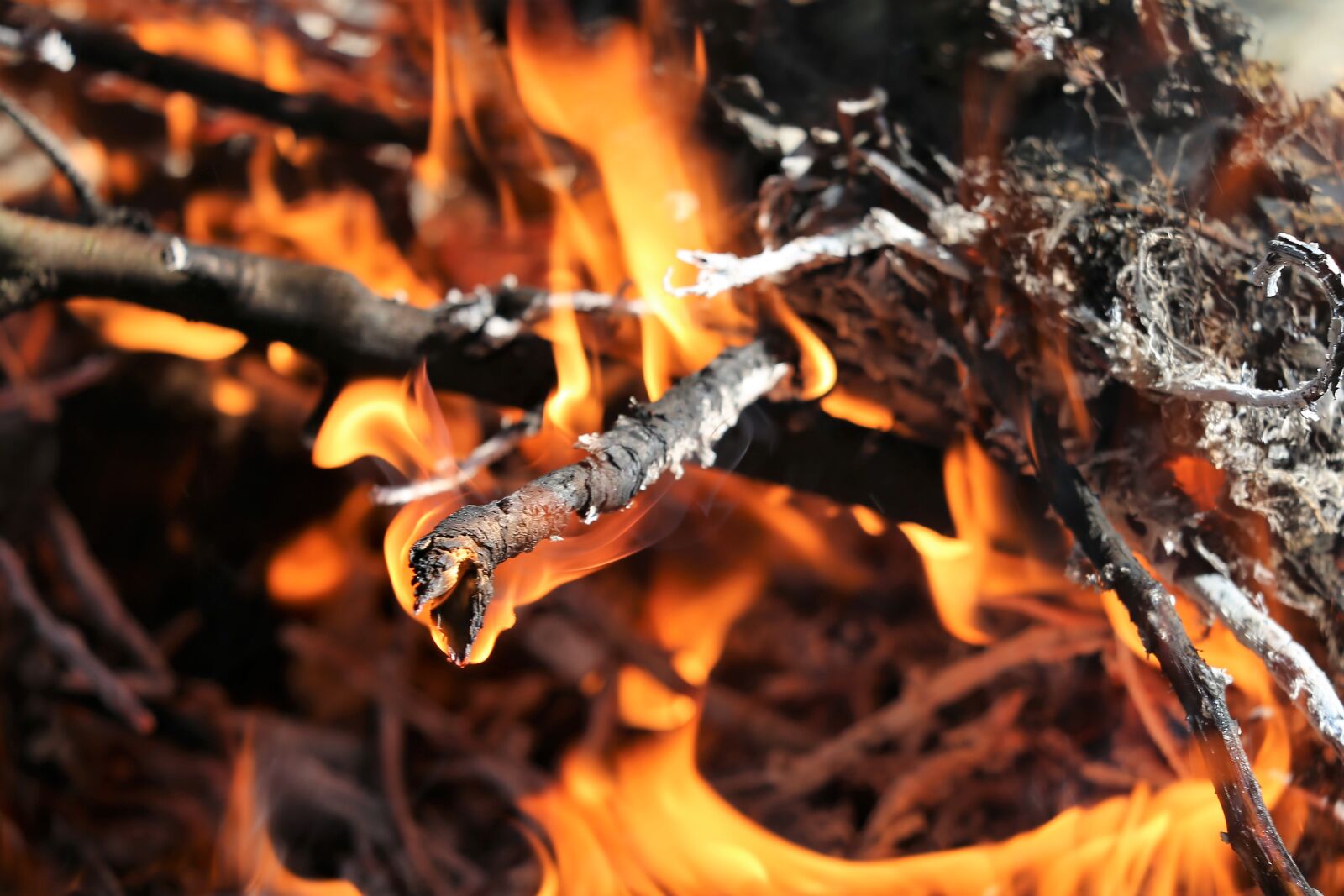 Canon EF 70-300 F4-5.6 IS II USM sample photo. Careful with fire, burning photography