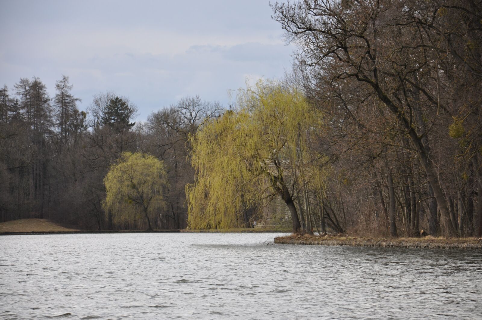 Nikon D90 sample photo. Nature, landscape, forest photography