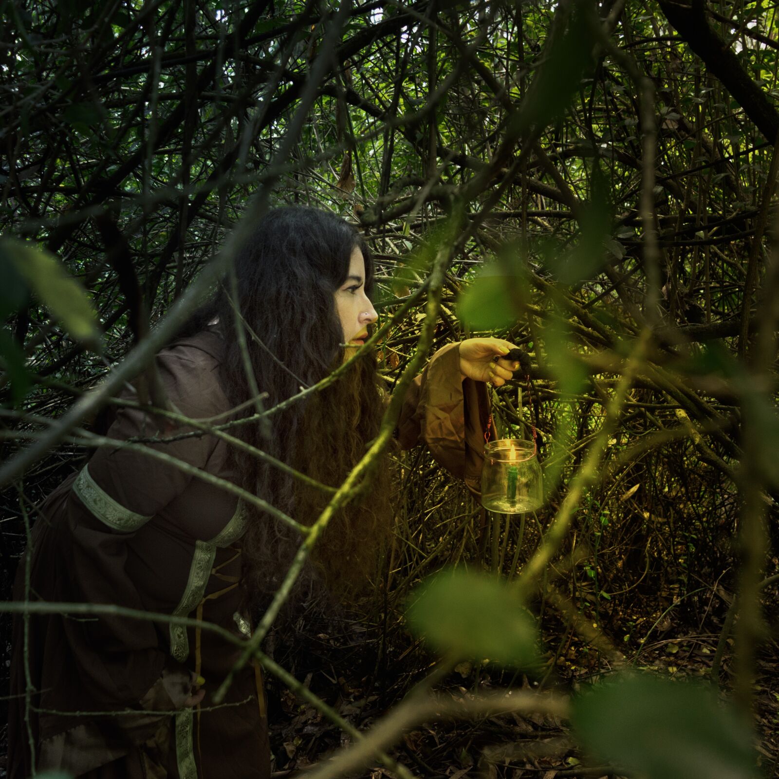 Nikon D3200 sample photo. Forest, mystery, nature photography