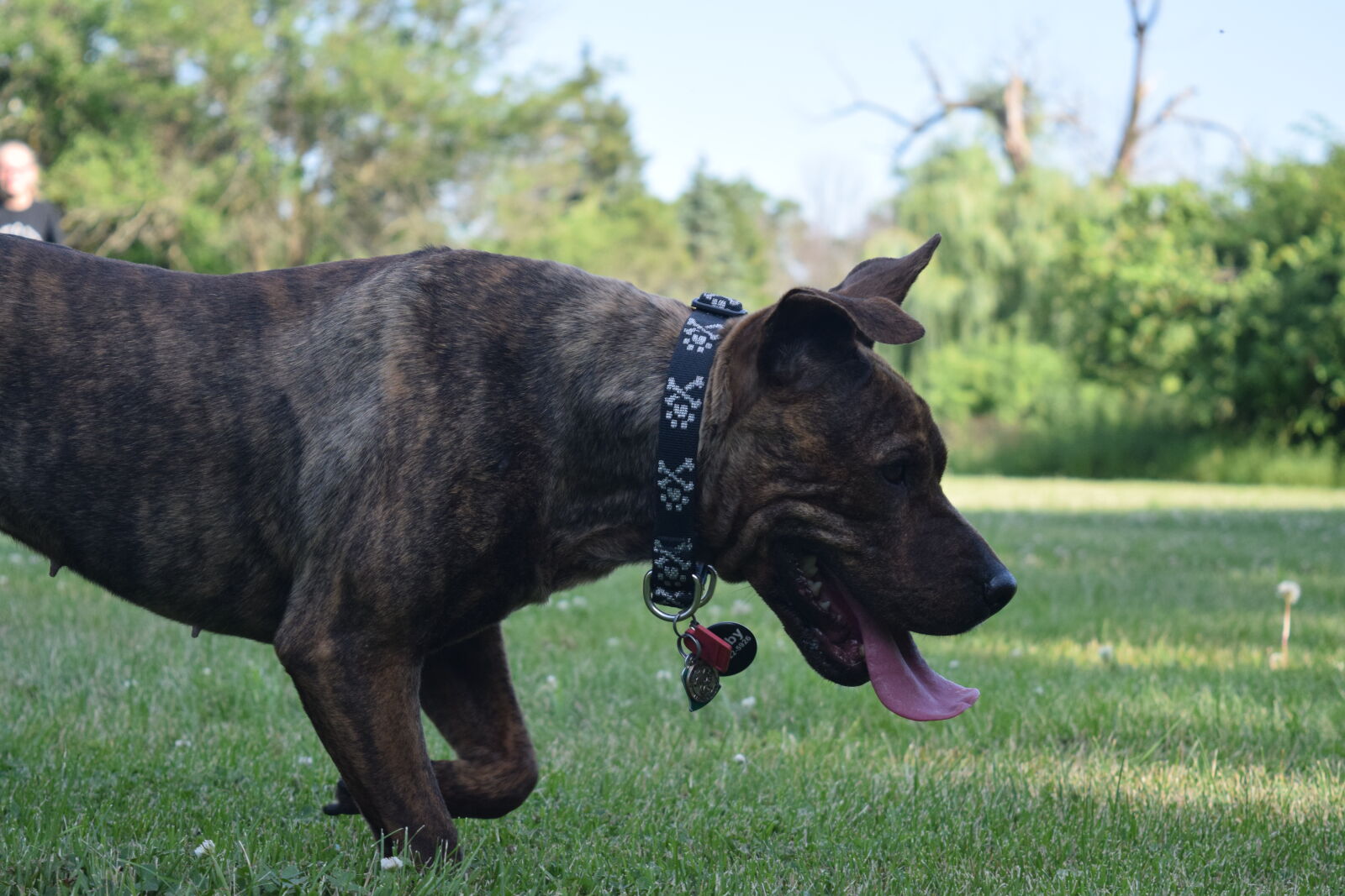 Nikon D3300 sample photo