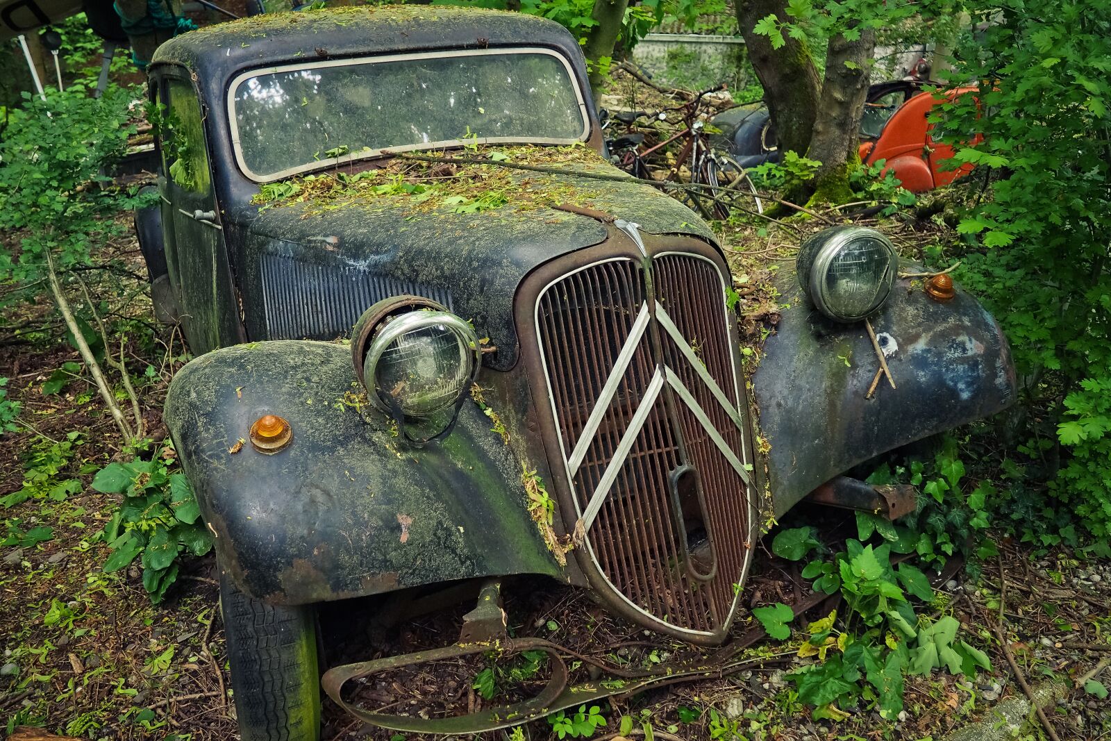 Olympus OM-D E-M10 sample photo. Auto, car cemetery, oldtimer photography