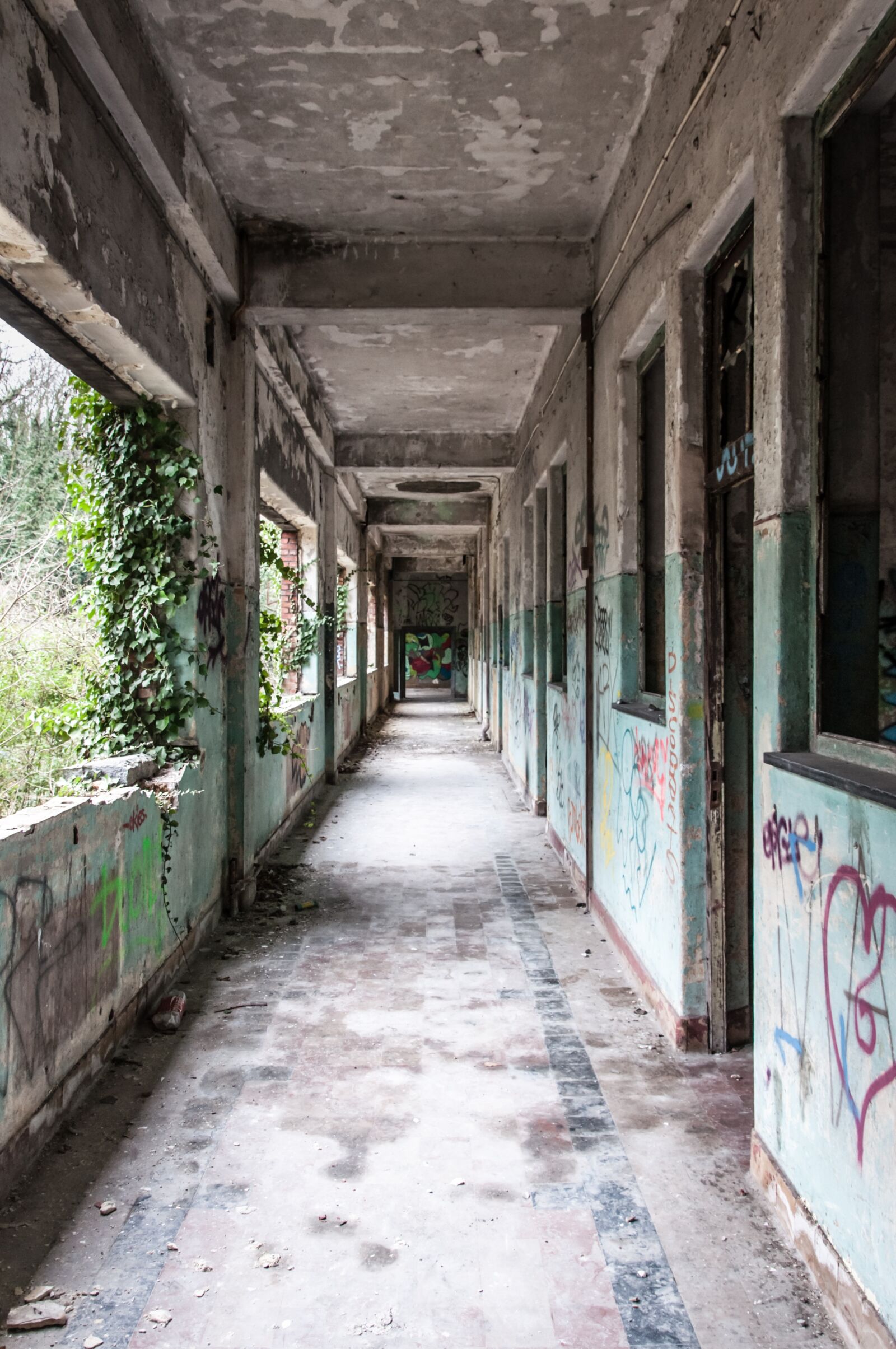 Nikon D90 sample photo. Background, building, leave photography