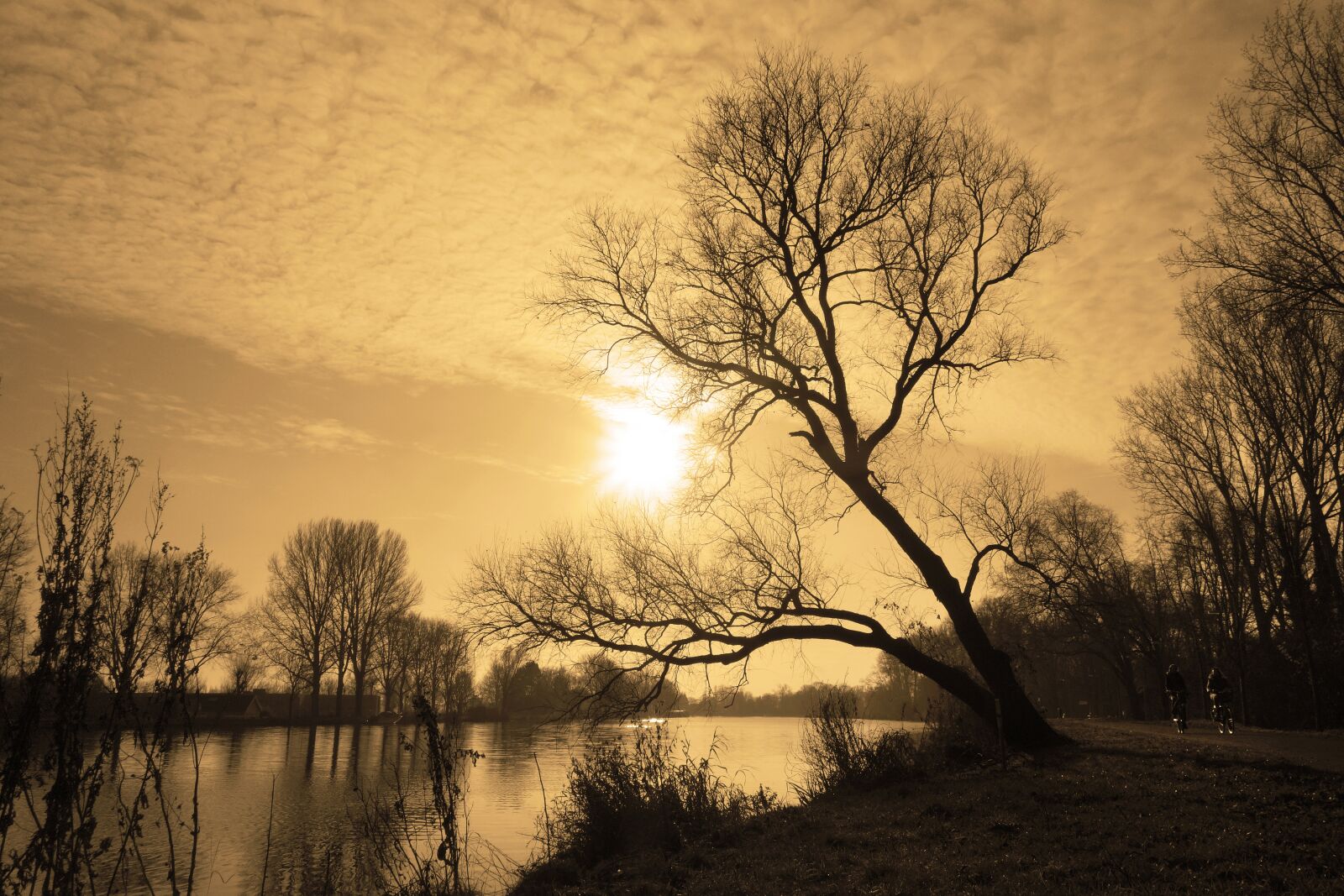Sony Cyber-shot DSC-RX100 sample photo. River, banks, river view photography