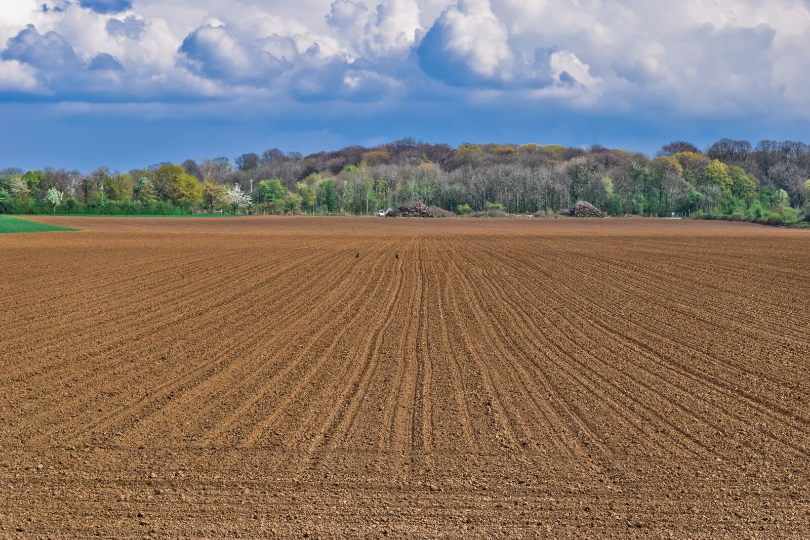 Nikon D3300 sample photo. Landscape, field, sky photography