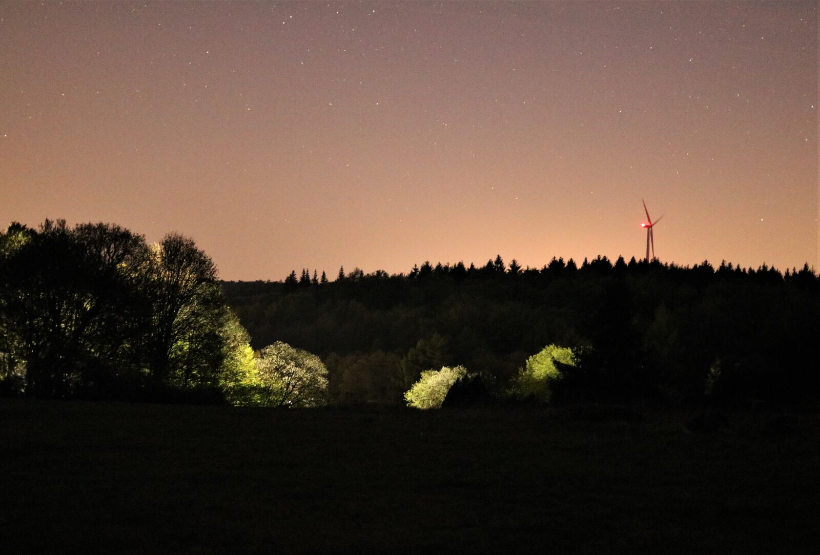 Canon EF 35mm F2 IS USM sample photo. Illuminated trees, bright, night photography