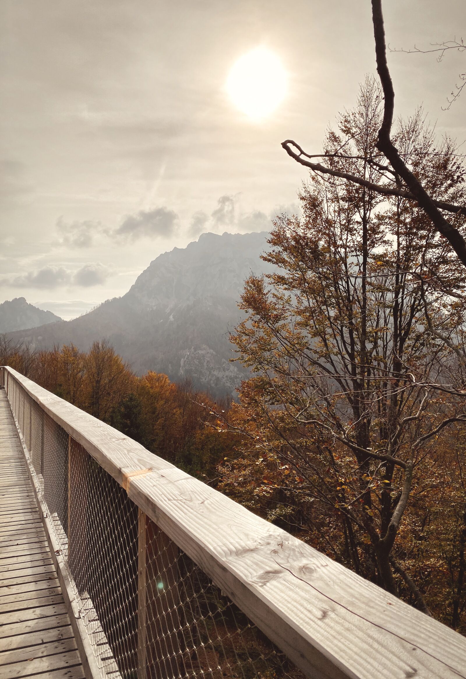 Apple iPhone 11 Pro Max sample photo. Mountains, hiking, nature photography