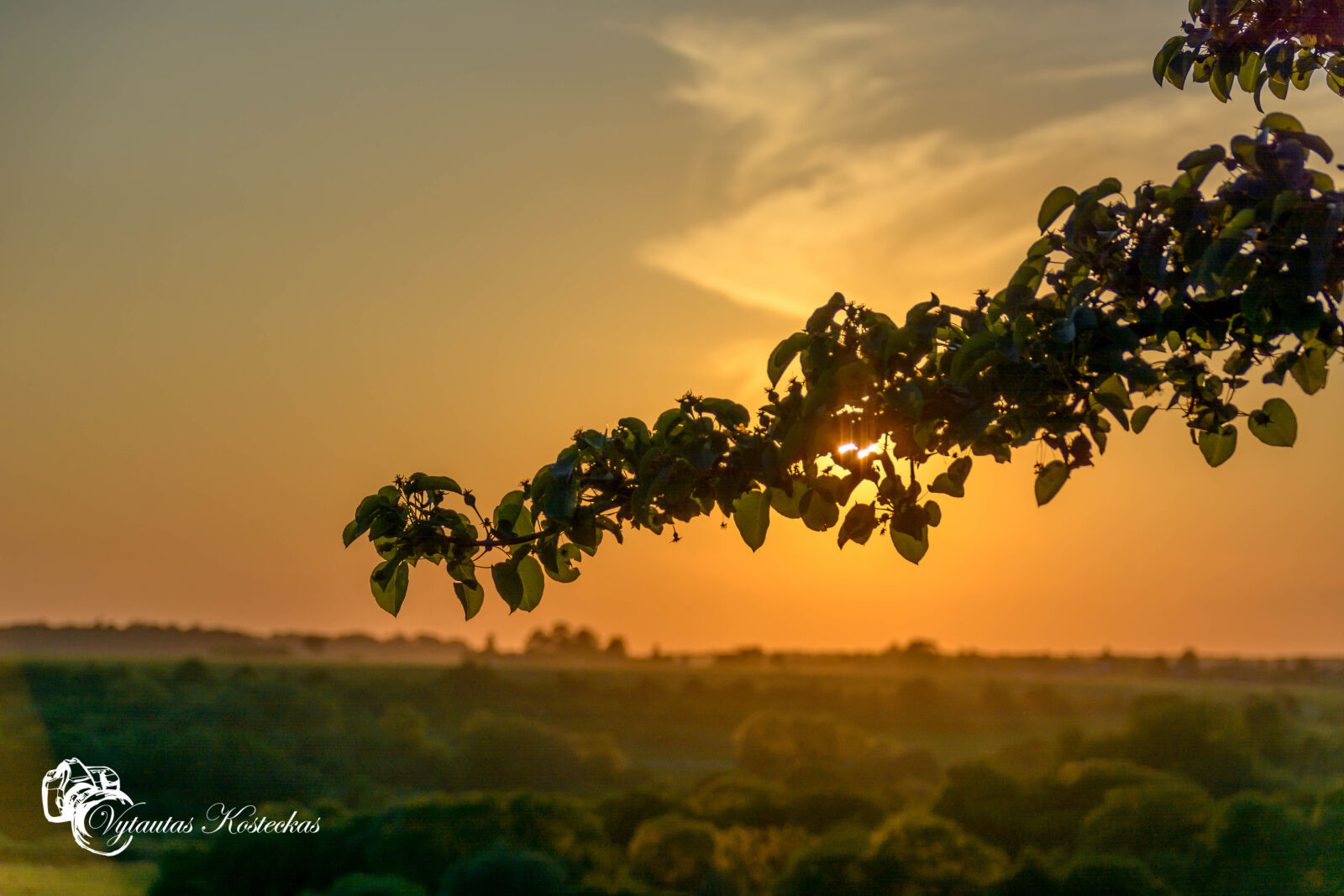 Nikon D7100 sample photo