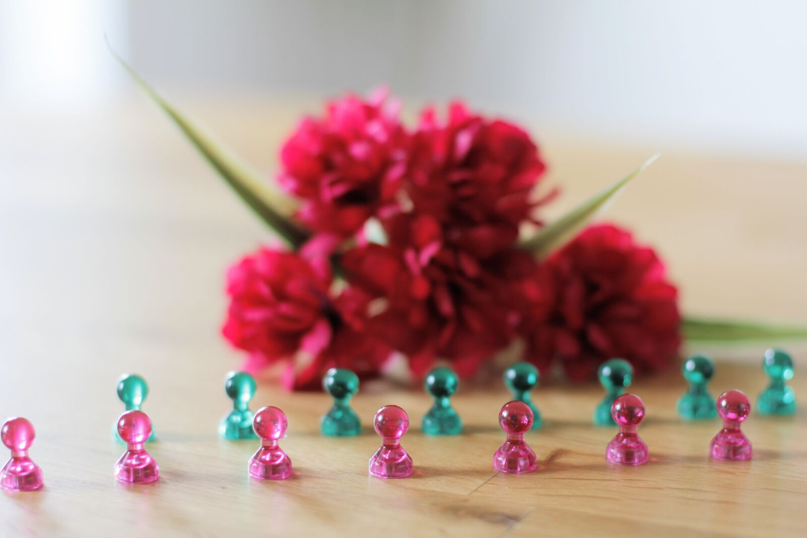 Canon EOS 60D + Canon EF 50mm F1.4 USM sample photo. Magnets, green, pink photography