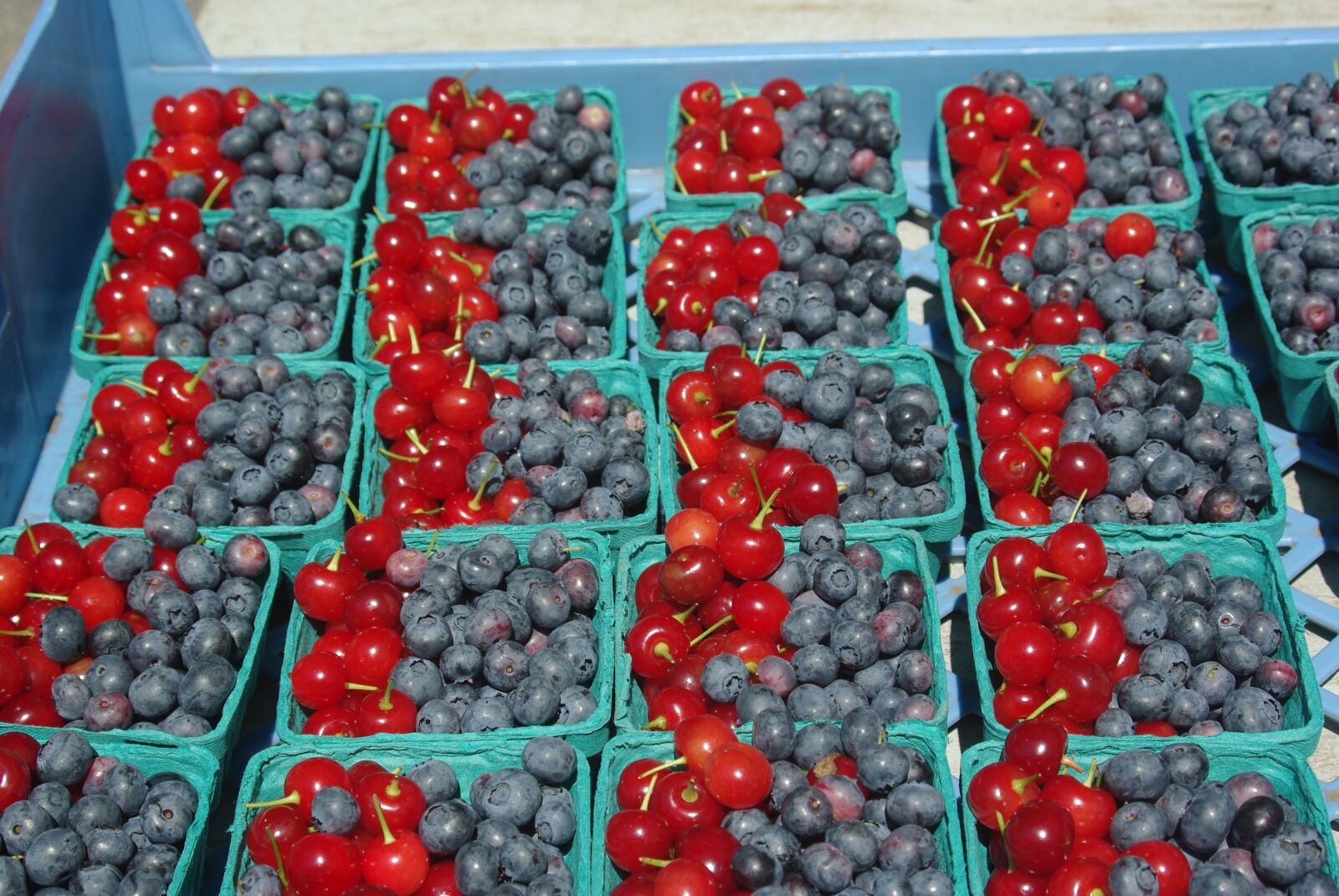 Pentax K200D sample photo. Blueberries, cherries, fruit photography