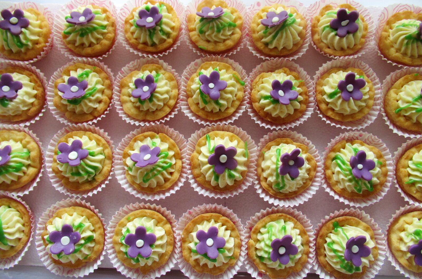 Canon PowerShot SX620 HS sample photo. Cupcakes, treats, baked goods photography